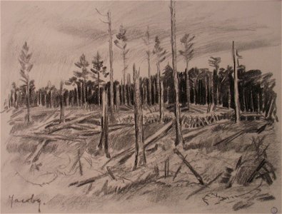 Jacoby, Une forêt après la bataille