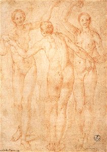 Jacopo Pontormo - Three Graces - WGA18131
