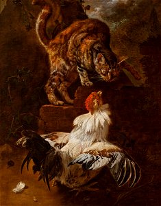 Jacobus Victors - Fight of a Cock and a Cat - MNK XII-A-876 - National Museum Kraków