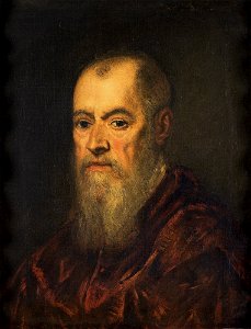 Jacopo Tintoretto - Portret van een man met een rode mantel