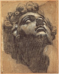 Jacopo Tintoretto - Head of Giuliano de' Medici - Google Art Project