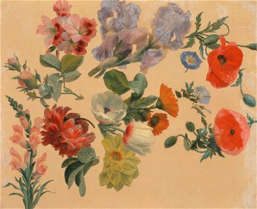 Jacques-Laurent Agasse - Studies of Summer Flowers - Google Art Project. Free illustration for personal and commercial use.