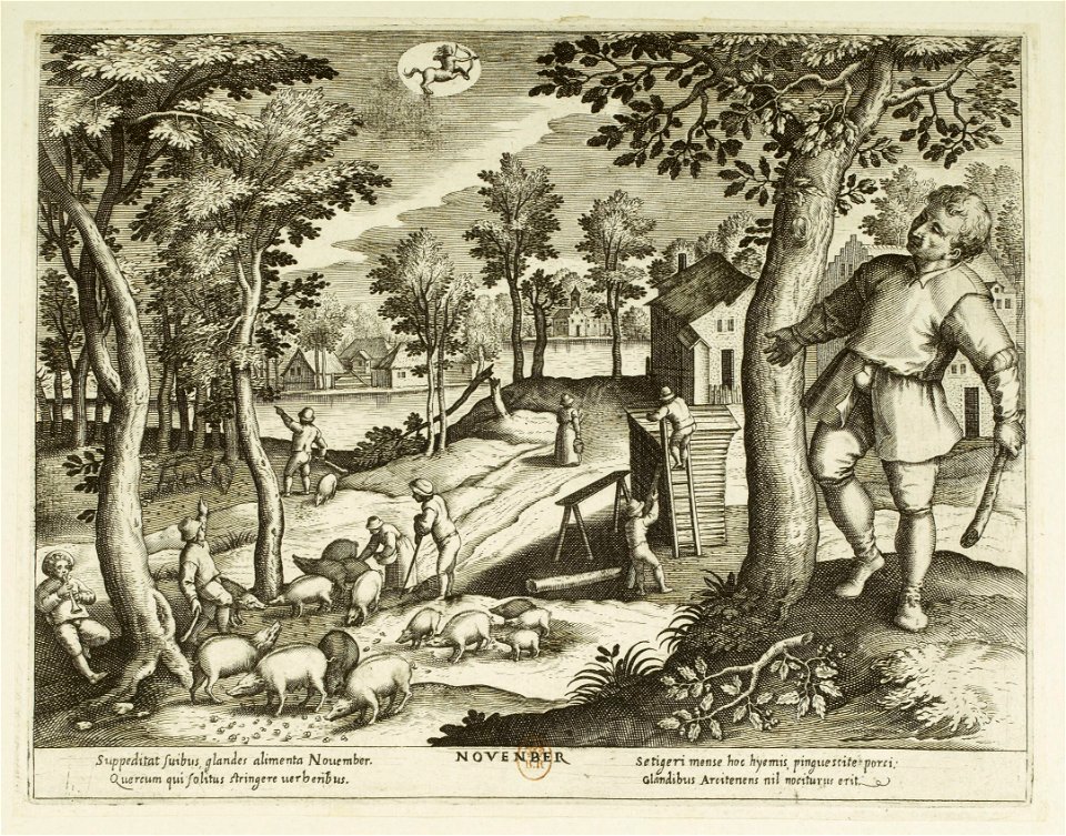 Jacques Callot - Les mois. 11, novembre - btv1b8496051q