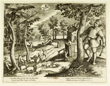 Jacques Callot - Les mois. 11, novembre - btv1b8496051q