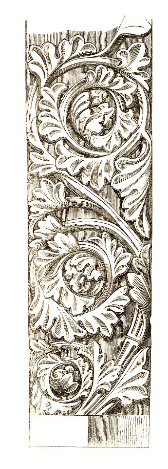 Jahrbuch MZK Band 03 - Kirche Porta Coelis - Fig 13 Portal Nischenfeld Ornament