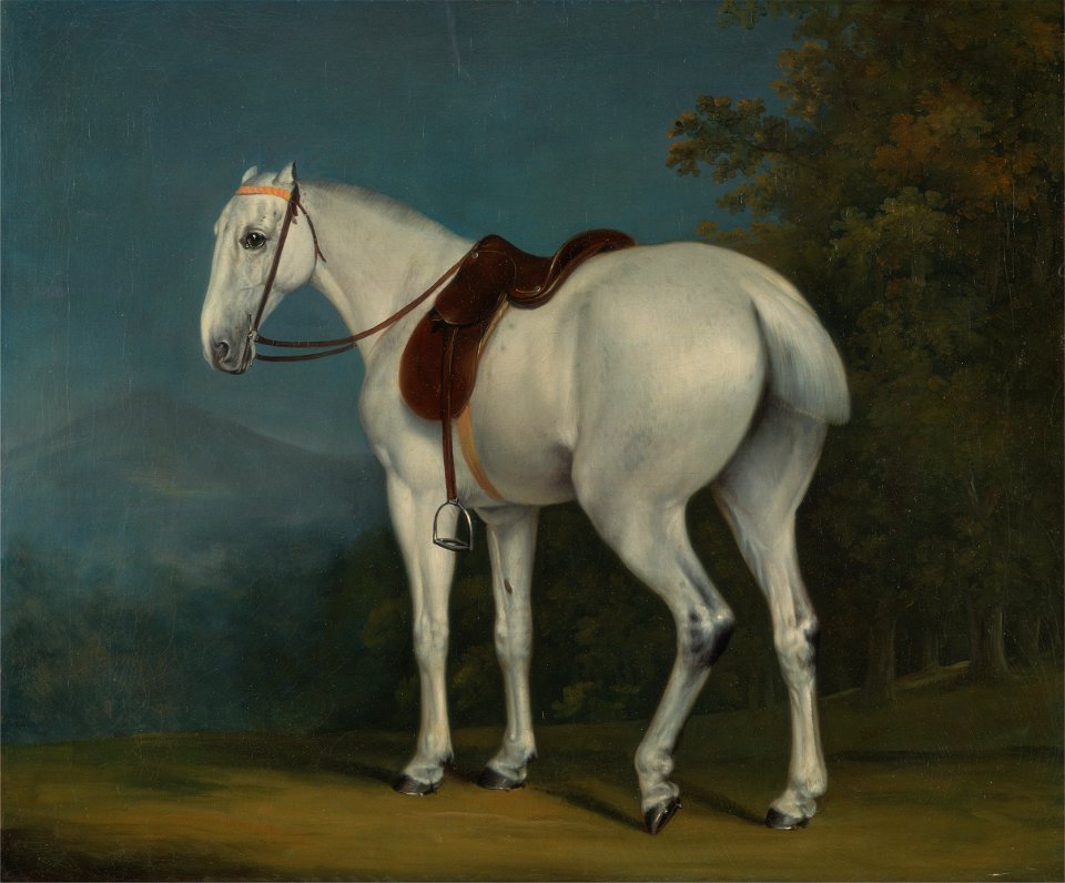 Jacques-Laurent Agasse - A Lady's Grey Hunter - Google Art Project