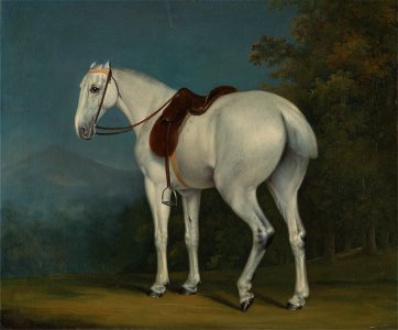 Jacques-Laurent Agasse - A Lady's Grey Hunter - Google Art Project. Free illustration for personal and commercial use.