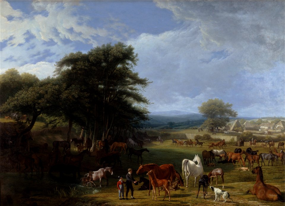 Jacques-Laurent Agasse - Lord Rivers's Stud Farm, Stratfield Saye - Google Art Project