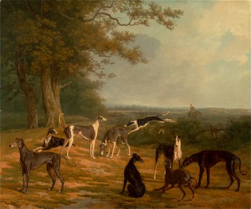 Jacques-Laurent Agasse - Nine Greyhounds in a Landscape - Google Art Project. Free illustration for personal and commercial use.
