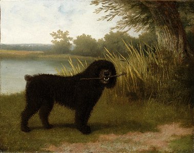 Jacques-Laurent Agasse - A black water dog with a stick by a lake