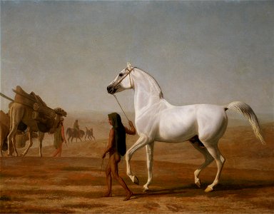 Jacques-Laurent Agasse - The Wellesley Grey Arabian Led through the Desert - Google Art Project. Free illustration for personal and commercial use.