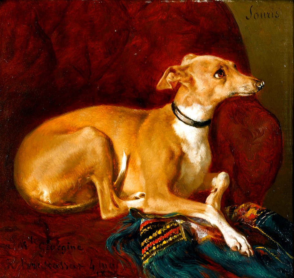 Jacques Raymond Brascassat - Un lévrier reposant sur la chaise (1836)