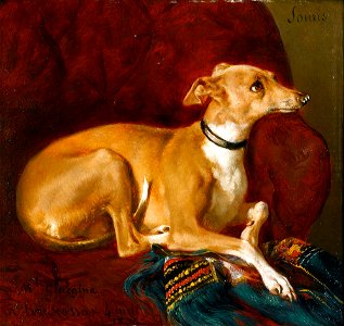 Jacques Raymond Brascassat - Un lévrier reposant sur la chaise (1836)