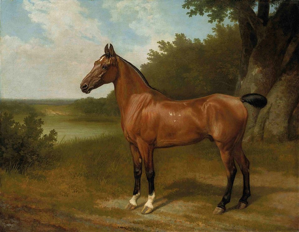 Jacques-Laurent Agasse - Lord Bingley's hunter in a wooded river landscape