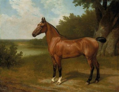 Jacques-Laurent Agasse - Lord Bingley's hunter in a wooded river landscape