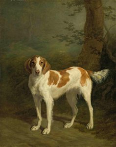 Jacques-Laurent Agasse - Dash, a setter in a wooded landscape. Free illustration for personal and commercial use.