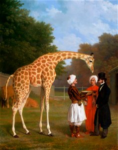 Jacques-Laurent Agasse (1767-1849) - The Nubian Giraffe - RCIN 404394 - Royal Collection. Free illustration for personal and commercial use.