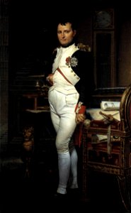 Jacques-Louis David - Napoleon in his Study - WGA6093. Free illustration for personal and commercial use.
