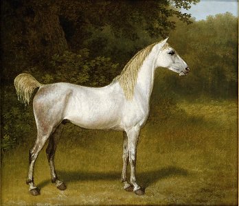 Jacques-Laurent Agasse - An Arab stallion in a landscape. Free illustration for personal and commercial use.