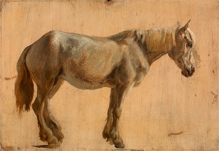 Jacques-Laurent Agasse - Study of a Grey Horse - Google Art Project. Free illustration for personal and commercial use.