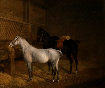 Jacques-Laurent Agasse - A Grey Pony and a Black Charger in a Stable - Google Art Project. Free illustration for personal and commercial use.