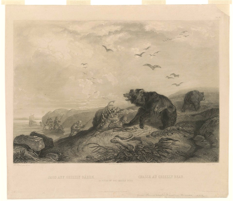 Jagd auf Grizzly Bären Chasse au grizzly bear = Hunting of the grizzly bear - - Ch. Bodmer, pinx ad nat. ; Lucas Weber, sc. LCCN2009633433