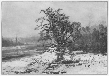 Jahrhundertausstellung 1906 KatNr. 0312
