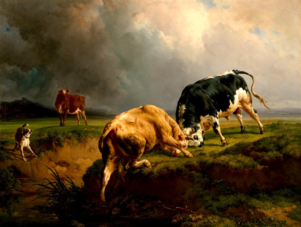 Jacques-Raymond Brascassat - A Bull Fight - 91.1556 - Museum of Fine Arts