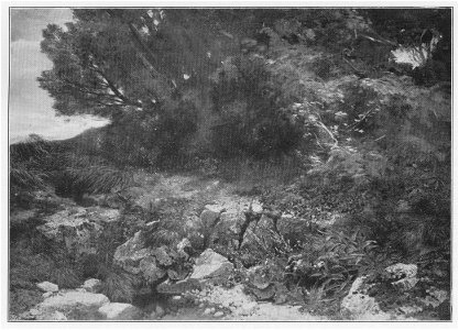 Jahrhundertausstellung 1906 KatNr. 0137