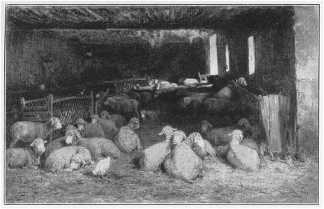 Jahrhundertausstellung 1906 KatNr. 0189a