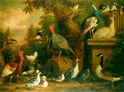 Jakob Bogdani (c. 1660-1720) - Birds in a Landscape - RCIN 406140 - Royal Collection