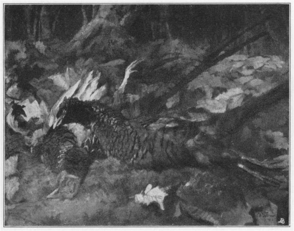 Jahrhundertausstellung 1906 KatNr. 1807