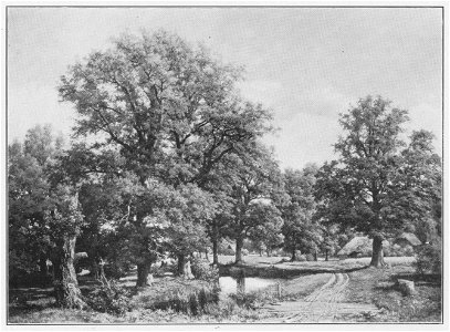 Jahrhundertausstellung 1906 KatNr. 0363