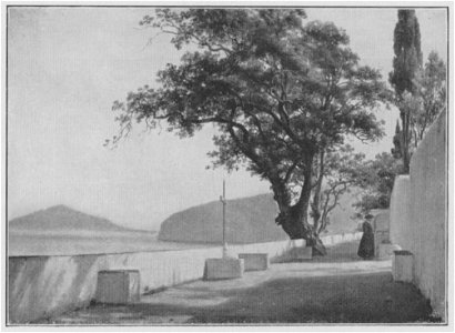 Jahrhundertausstellung 1906 KatNr. 0398