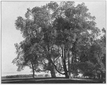 Jahrhundertausstellung 1906 KatNr. 1922