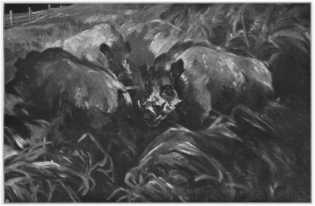 Jahrhundertausstellung 1906 KatNr. 1387