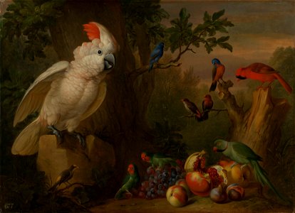 Jakob Bogdani (c. 1660-1720) - Birds and Fruit in a Landscape - RCIN 402410 - Royal Collection