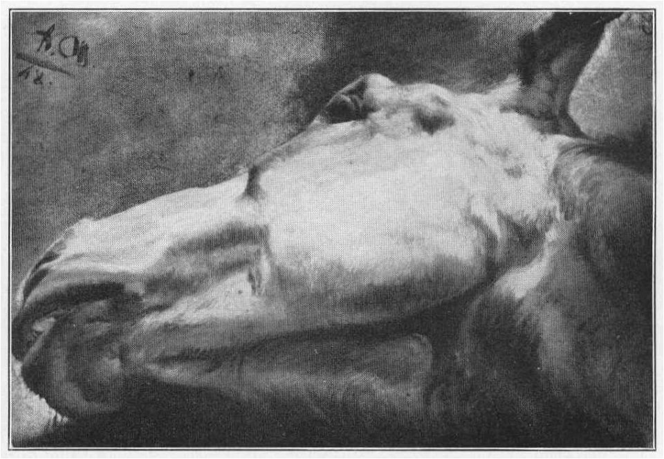 Jahrhundertausstellung 1906 KatNr. 1175