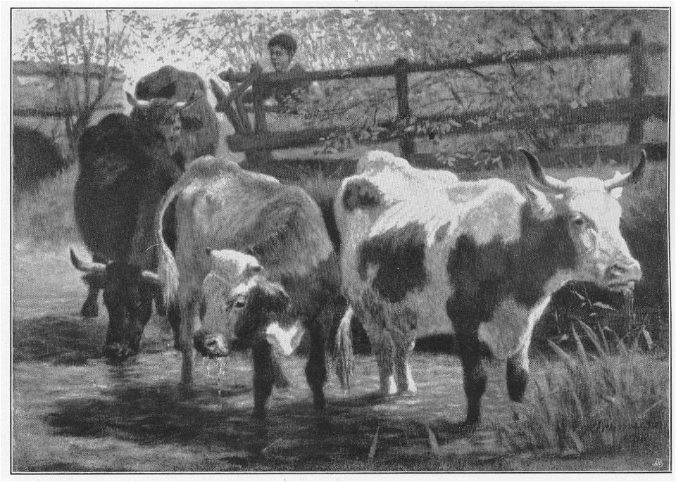 Jahrhundertausstellung 1906 KatNr. 1560