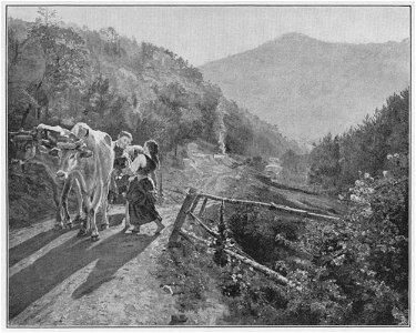 Jahrhundertausstellung 1906 KatNr. 1916