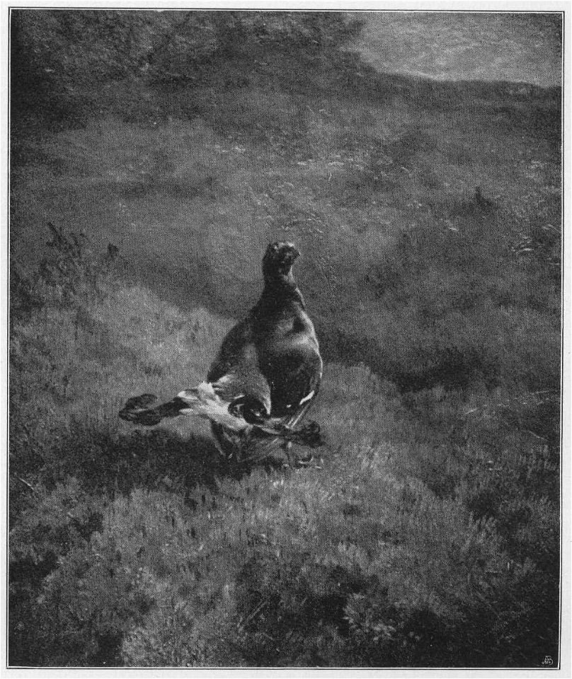 Jahrhundertausstellung 1906 KatNr. 1388f
