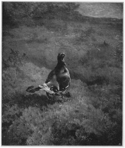 Jahrhundertausstellung 1906 KatNr. 1388f