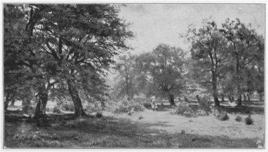 Jahrhundertausstellung 1906 KatNr. 0976