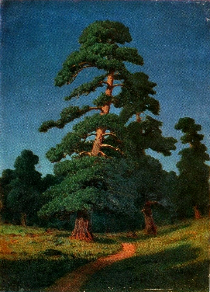 Kuindzhi Pine Simferopol