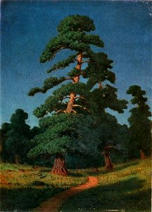 Kuindzhi Pine Simferopol