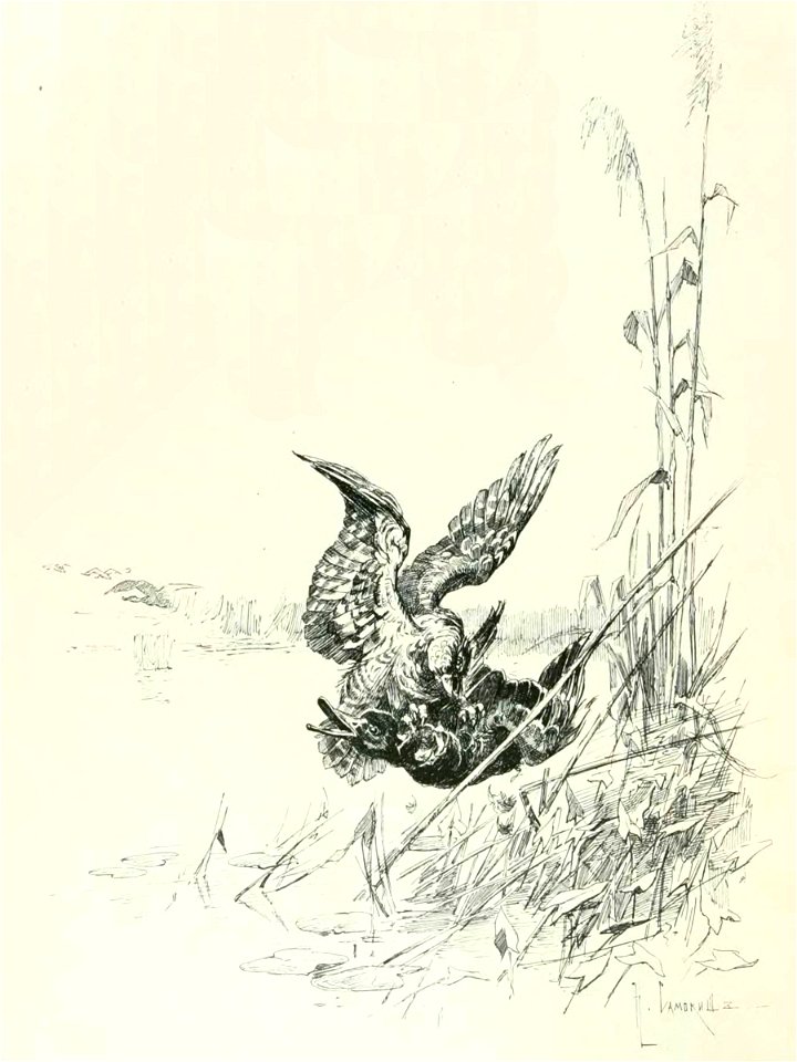 Kutepov's hunting V.1 - page 084 detail