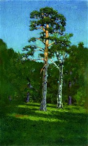 Kuindzhi Pine 1878