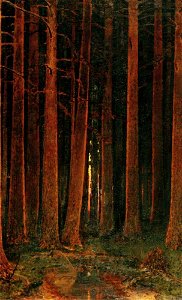 Kuindzhi Sunset in a forest 1878