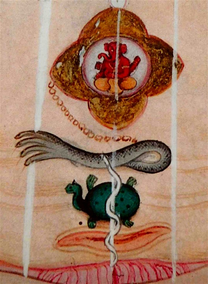 Kundalini serpent in yogin's belly