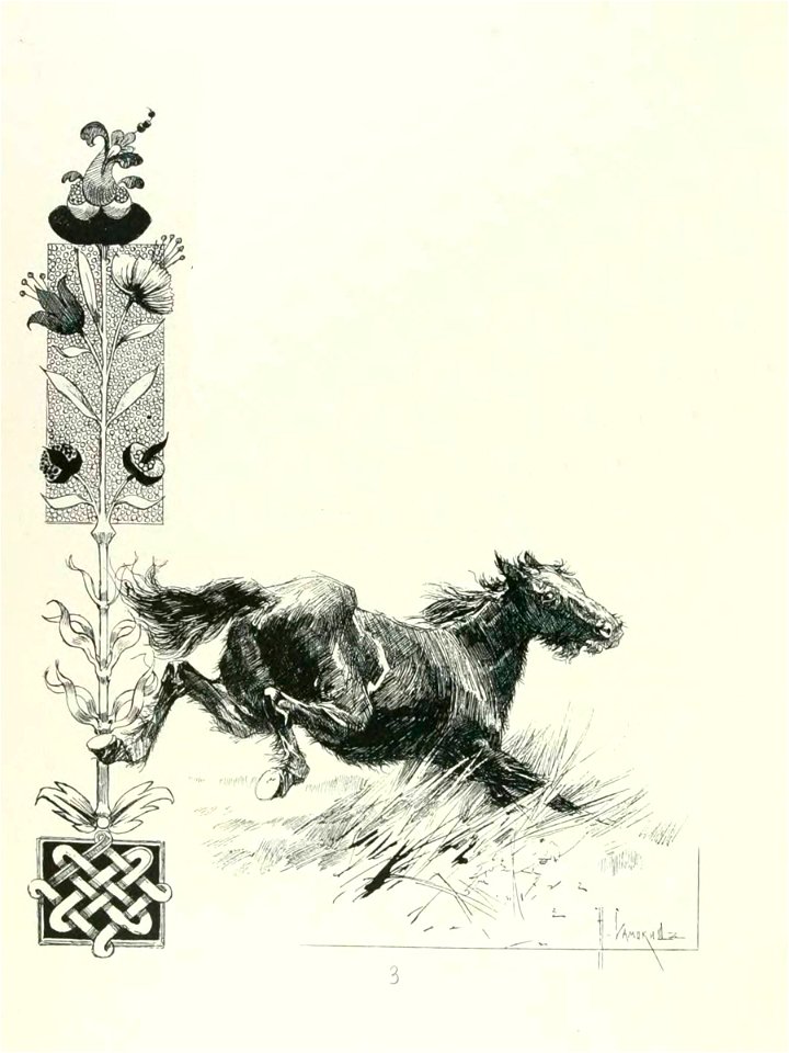 Kutepov's hunting V.1 - page 008 detail